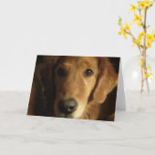 Wenskaart van het Gezicht van het golden retriever Kaart (Gele Bloem)