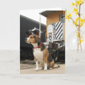 Wenskaart van het Huis van de brak het Welkome - Kaart (Gele Bloem)