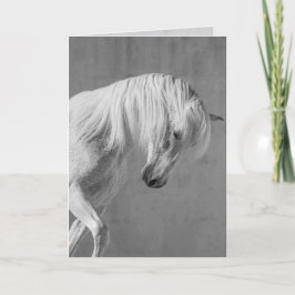 Wenskaart van het paard - De witte steen kijkt naa Kaart