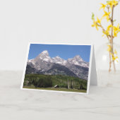 Wenskaart van het Park van Grand Teton het Kaart (Gele Bloem)