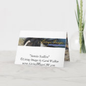 Wenskaart van het wilde paard van Sunrise Stallion Kaart (Achterkant)