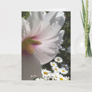 Wenskaart van Hollyhocks en Daisies Kaart