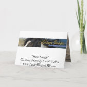 Wenskaart van Horse Laugh Wild Horse Kaart (Achterkant)