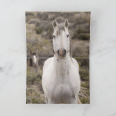 Wenskaart van Horse Laugh Wild Horse Kaart (Binnen)