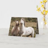 Wenskaart van Horse Laugh Wild Horse Kaart (Gele Bloem)