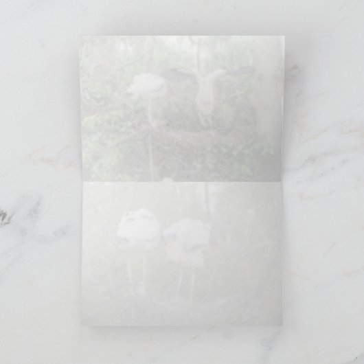 Wenskaart van hout kaart (Binnen)