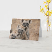 Wenskaart van Hyenas Kaart (Gele Bloem)