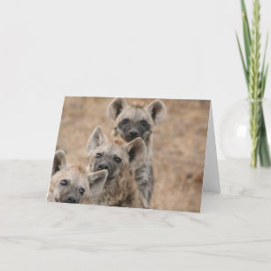 Wenskaart van Hyenas Kaart