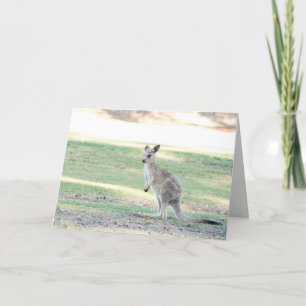 wenskaart van Kangaroo joey Kaart