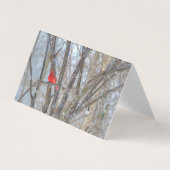 Wenskaart van kardinaal en cichorei kaart (Voorkant)