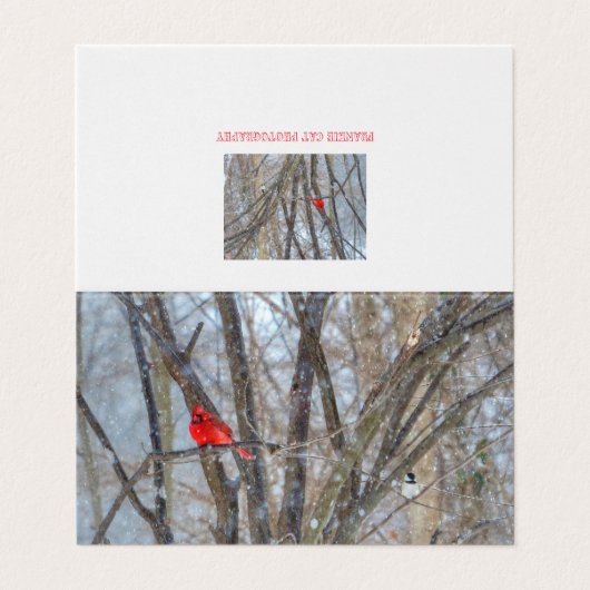 Wenskaart van kardinaal en cichorei kaart (Buitenkant ongevouwen)