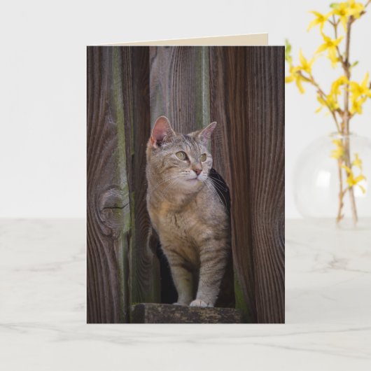 wenskaart van katten kaart (Gele Bloem)