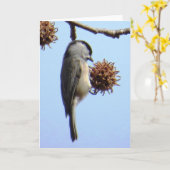 Wenskaart van kippen kaart (Gele Bloem)