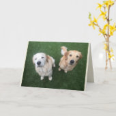 Wenskaart van ledige gulden retrofant kaart (Gele Bloem)