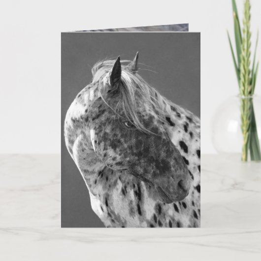 Wenskaart van leopard Appaloosa Horse Kaart (Voorkant)