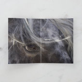 Wenskaart van leopard Appaloosa Horse Kaart (Binnen)