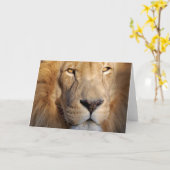 Wenskaart van lion Afbeeldingen Kaart (Gele Bloem)