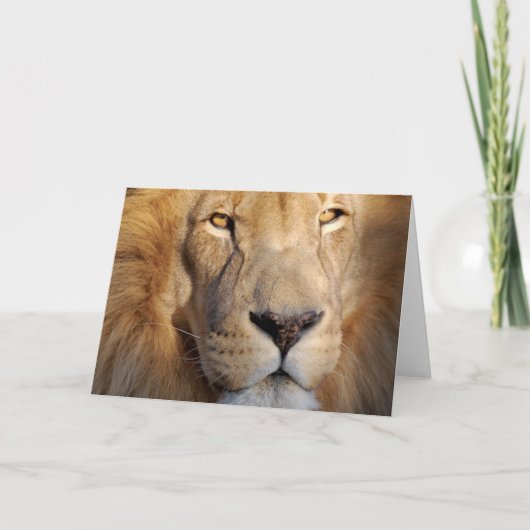 Wenskaart van lion Afbeeldingen Kaart (Voorkant)