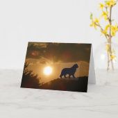 Wenskaart van Newfoundlander Kaart (Gele Bloem)