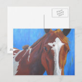 Wenskaart van paarden briefkaart (Voorkant / Achterkant)