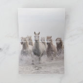 Wenskaart van paarden - Drie witte paarden die uit Kaart (Binnen)