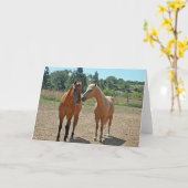 Wenskaart van paarden kaart (Gele Bloem)