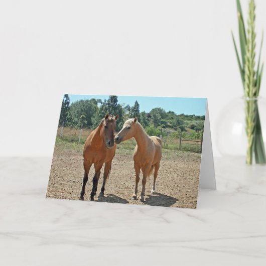 Wenskaart van paarden kaart (Voorkant)