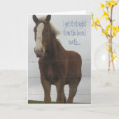 Wenskaart van paarden kaart (Gele Bloem)