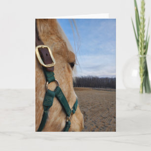 Wenskaart van paarden kaart