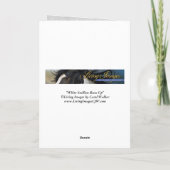 Wenskaart van paarden - White Stallion loopt op Kaart (Achterkant)