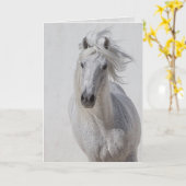 Wenskaart van paarden - White Stallion loopt op Kaart (Gele Bloem)