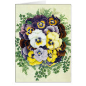 Wenskaart van Pansies (Voorkant)