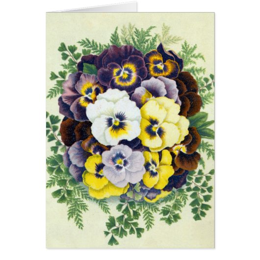 Wenskaart van Pansies (Voorkant)