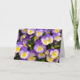 Wenskaart van Pansies Kaart