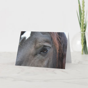 Wenskaart van Percheron Horse Kaart