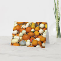 Wenskaart van pompoen