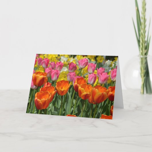 Wenskaart van roze en oranje tulpen kaart (Voorkant)