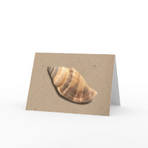 Wenskaart van Shell met bruine en tan Striped