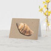 Wenskaart van Shell met bruine en tan Striped Kaart (Gele Bloem)