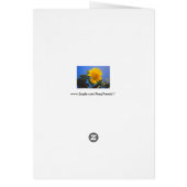 Wenskaart van Sunflower Blue Sky (Achterkant)