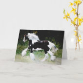 wenskaart van "Tamlin" Horse Kaart (Gele Bloem)