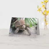 Wenskaart van Tortoise Kaart (Gele Bloem)