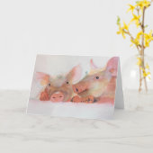 Wenskaart van varkens kaart (Gele Bloem)