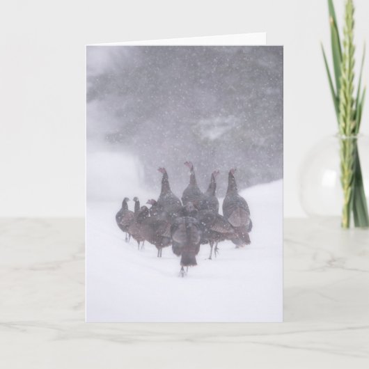 Wenskaart van wilde kalkoenen kaart (Voorkant)