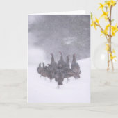 Wenskaart van wilde kalkoenen kaart (Gele Bloem)