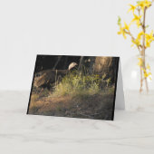 Wenskaart van wilde kalkoenen kaart (Gele Bloem)