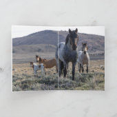 Wenskaart van wilde paarden - blauw en zijn famili bedankkaart (Binnen)