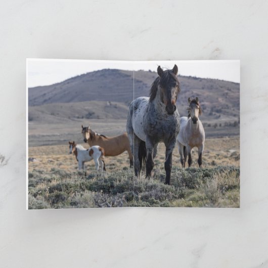 Wenskaart van wilde paarden - blauw en zijn famili bedankkaart (Binnen)