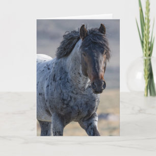 Wenskaart van wilde paarden - blauw en zijn famili bedankkaart