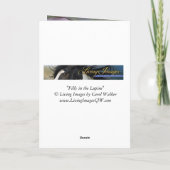 Wenskaart van wilde paarden - Fly in de lupine Kaart (Achterkant)